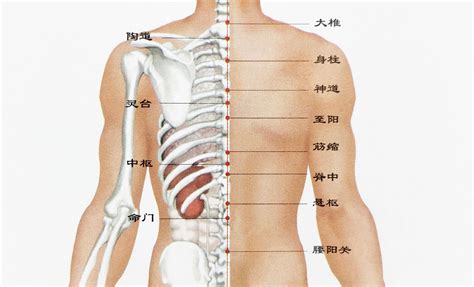 背有痣男|男人背上有痣图解 右肩胛骨富贵命